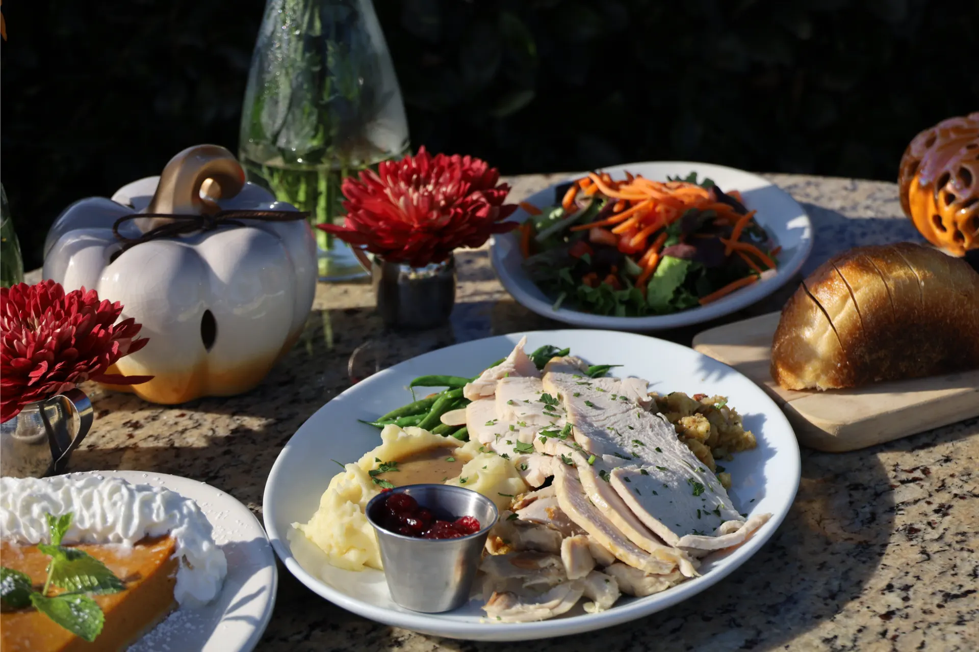 Thanksgiving turkey plate with mashed potatoes, gravy, stuffing, green beans, and cranberry sauce